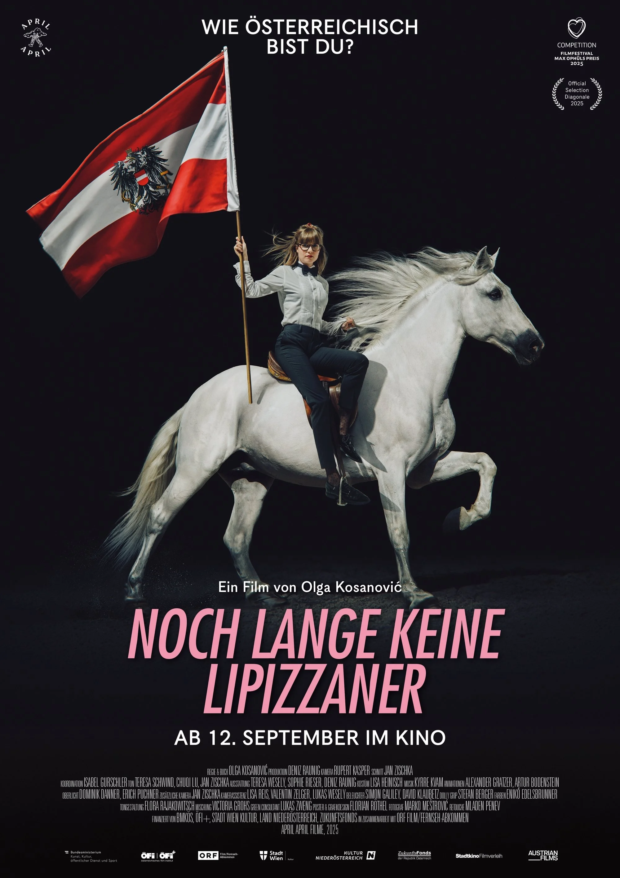 Noch lange keine Lipizzaner