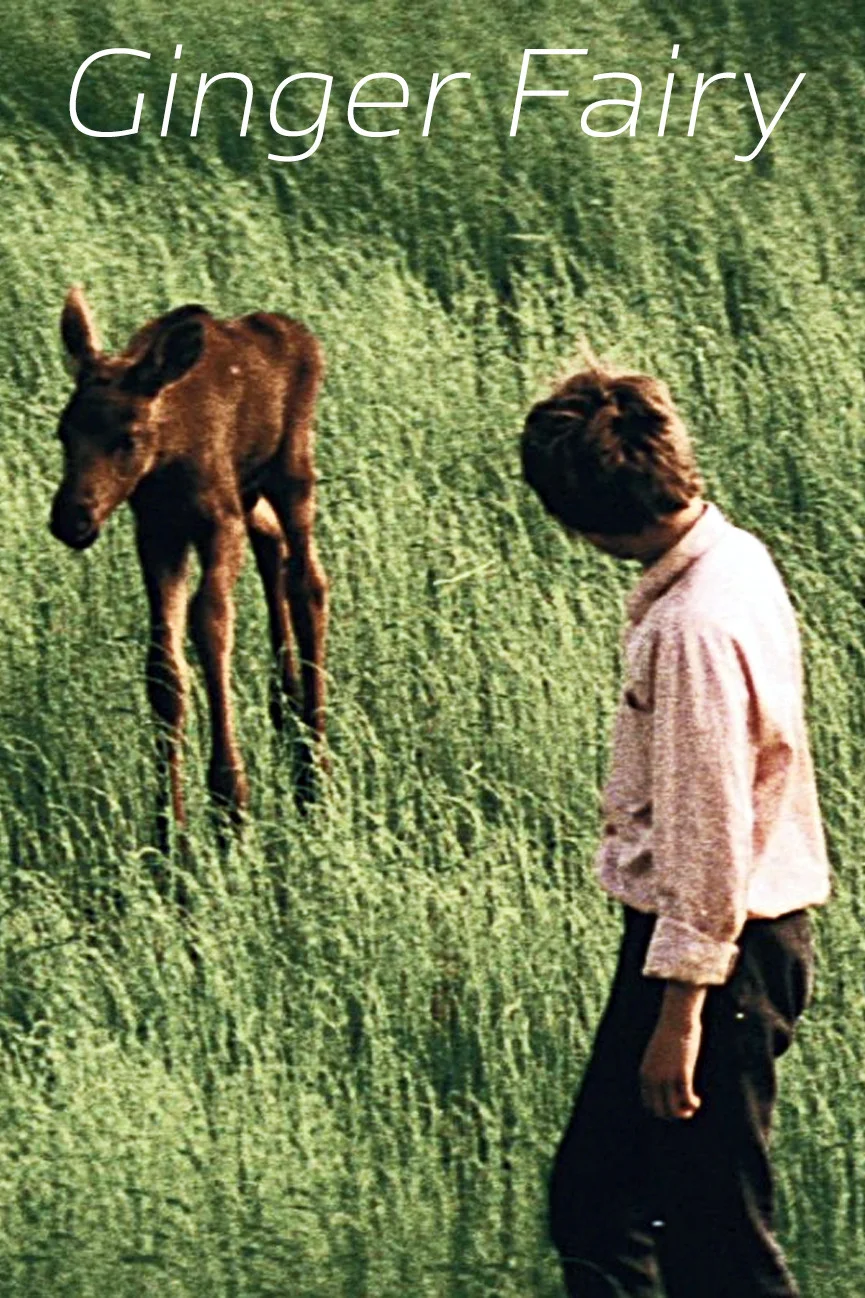 پری زنجبیلی