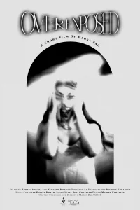 بیش از حد نمایان - Poster