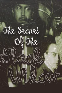 The Secret of the Black Widow