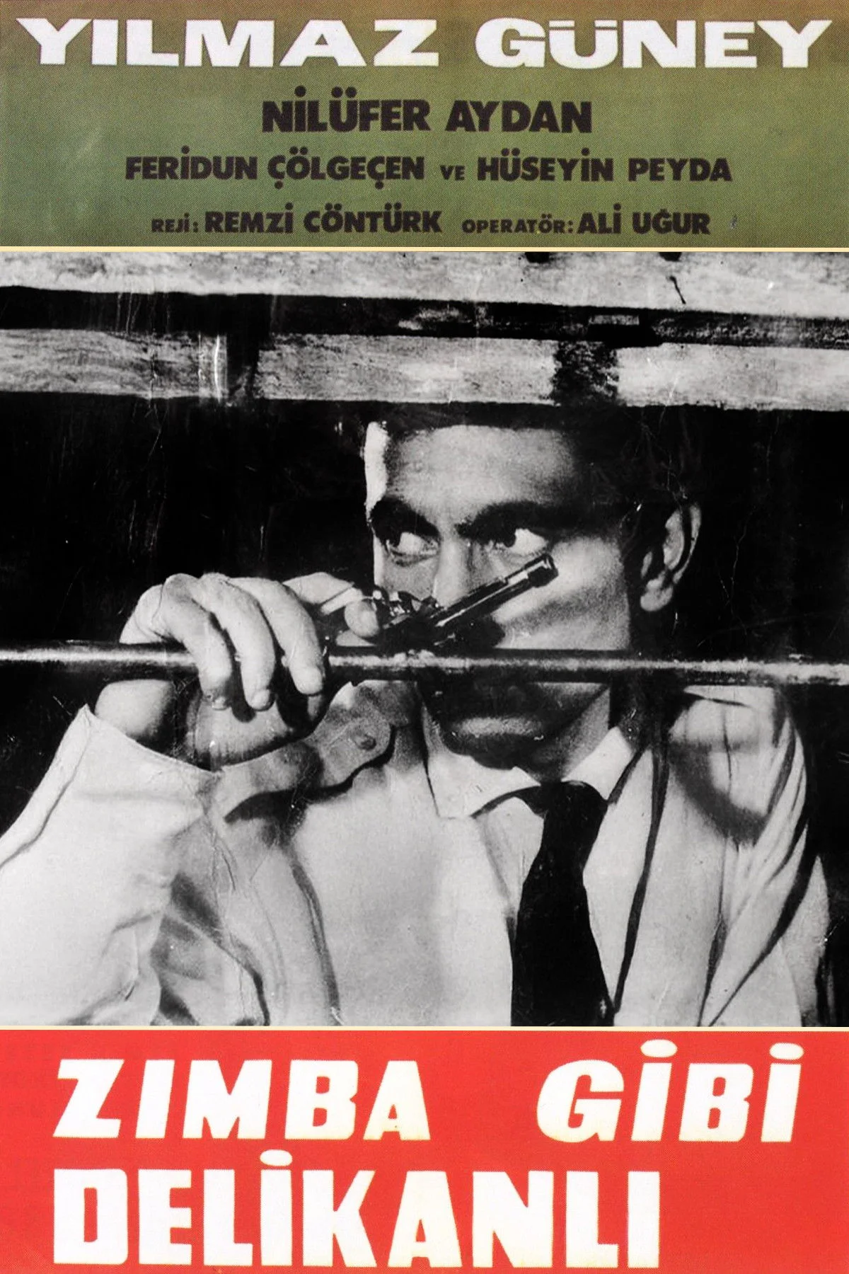 زیمبا گیبی دلیکانی