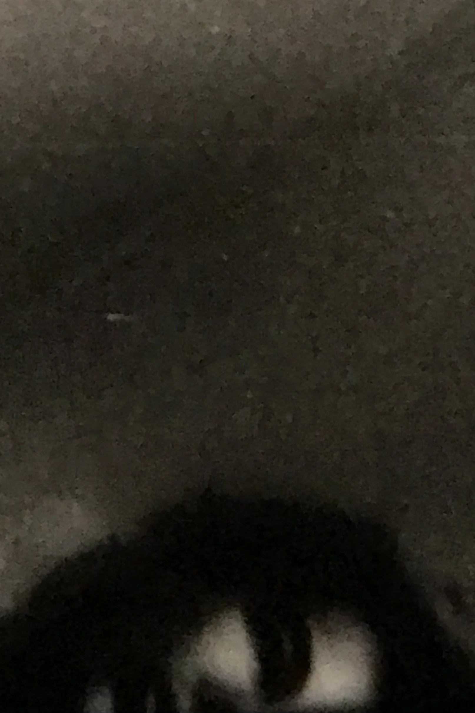 زندگی و شکوه