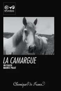 La Camargue