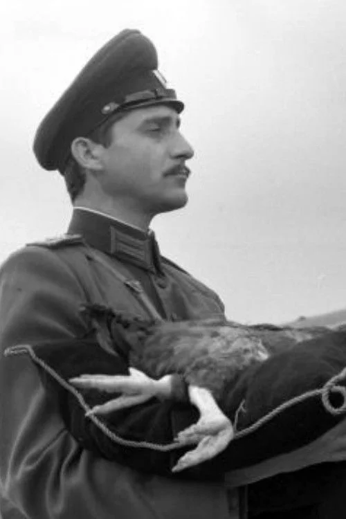 پرونده پنلِو