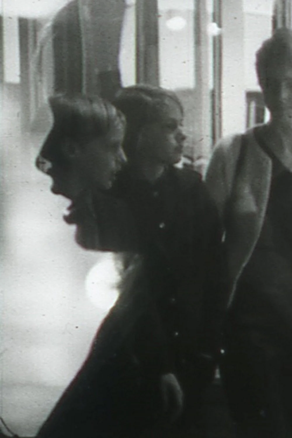 تصویر، گوشت و صدا