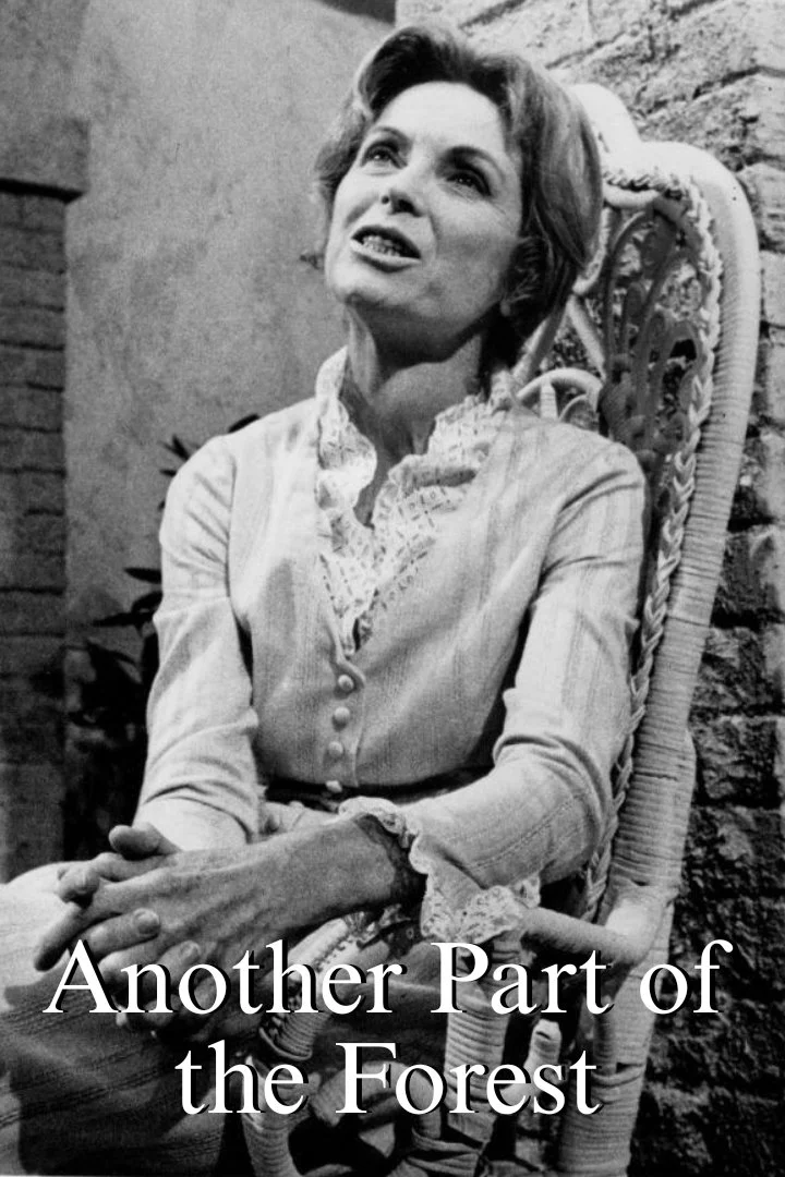 قسمتی دیگر از جنگل