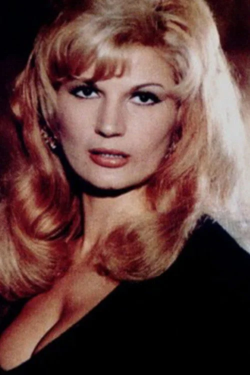 کنسرت برای همه همسایگان ما