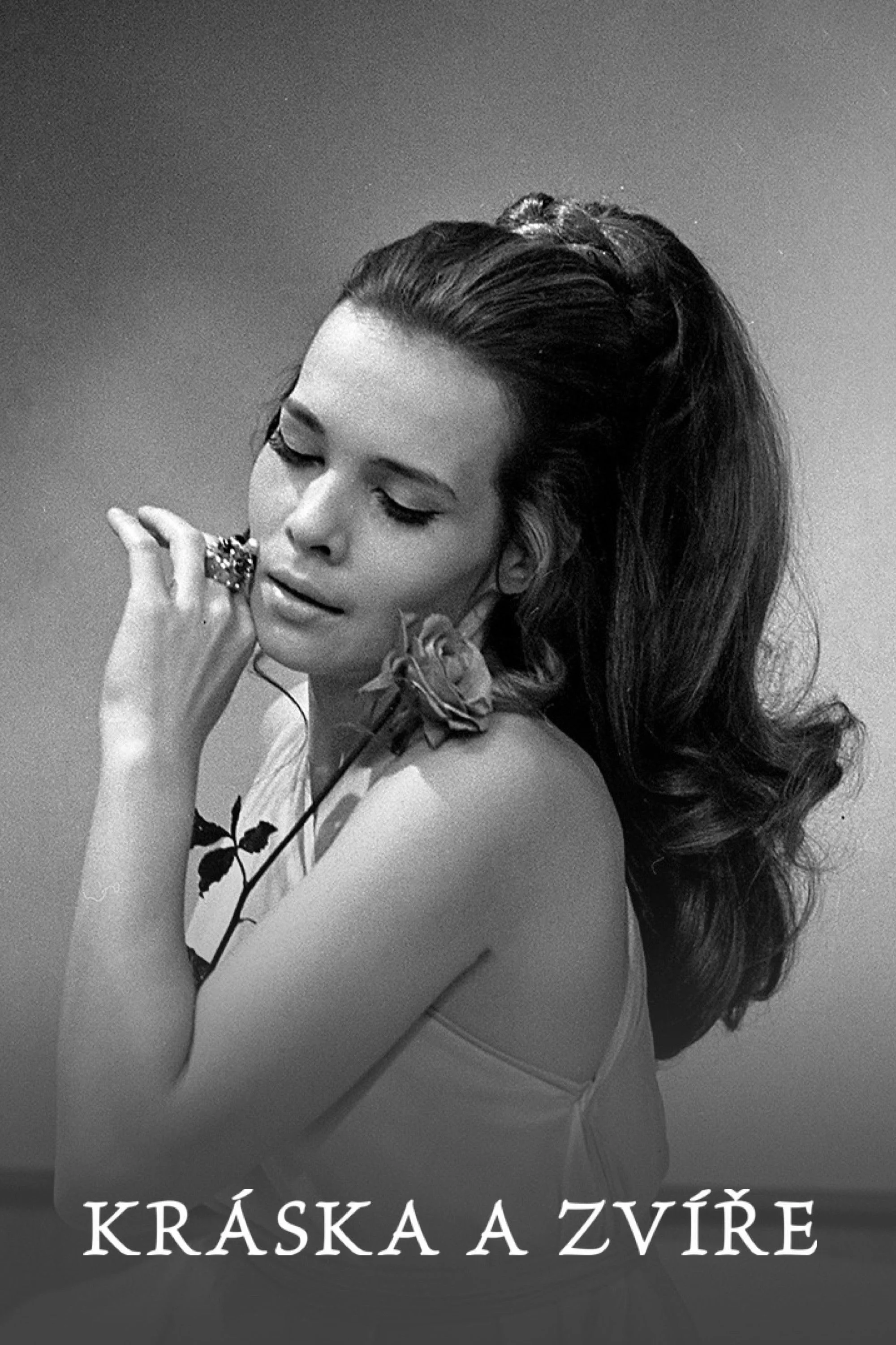 زیبایی و هیولا