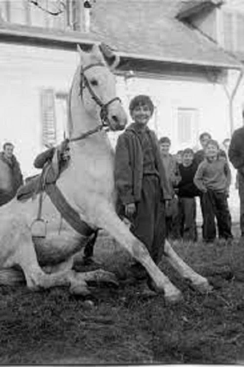 زمان اسب‌ها