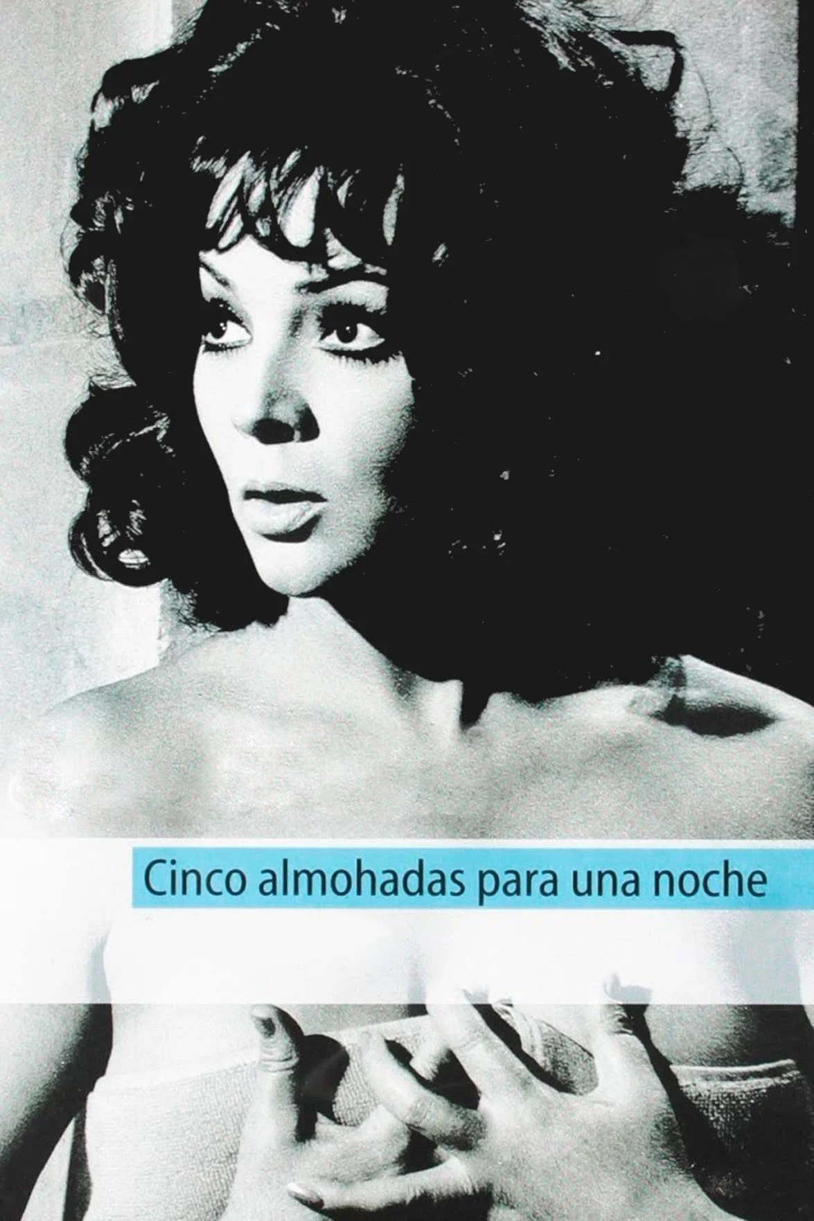 پنج بالش برای یک شب