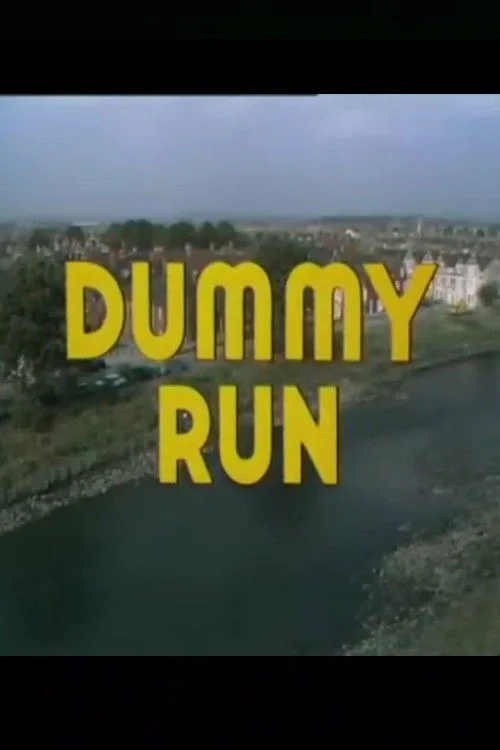 اجرای آزمایشی