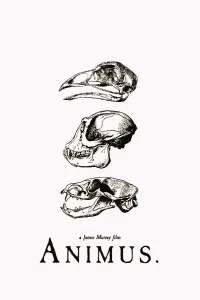انیموس - Poster