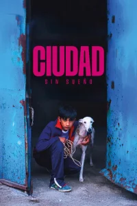 شهر بی‌خواب - Poster