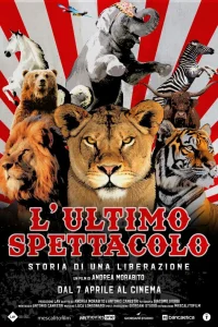 L’ultimo spettacolo - Poster