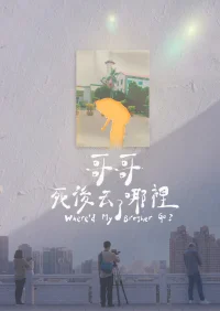 برادر من کجا رفت؟ - Poster