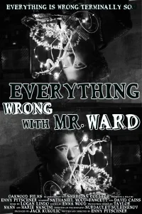Everything Wrong with Mr. Ward - Poster