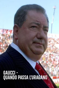 گائوچی - کی طوفان می‌گذرد - Poster