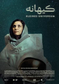 Little Universe - Poster