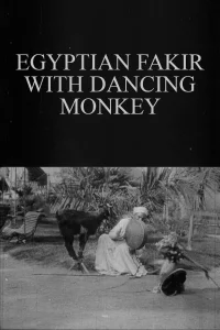 فقیر مصری با میمون رقصان - Poster