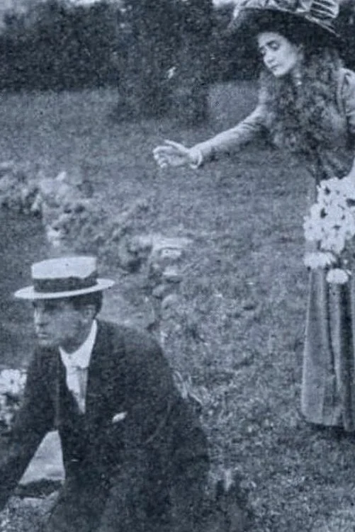 نیلوفرهای آبی