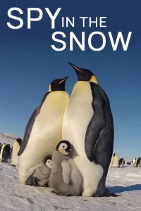 جاسوس در برف
