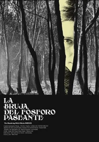 جادوگر سرگردان