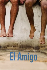 دوست خوب - Poster