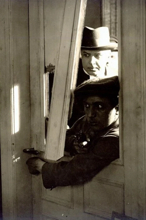 شکارچی عنکبوت