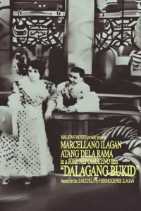 Country Maiden - Poster