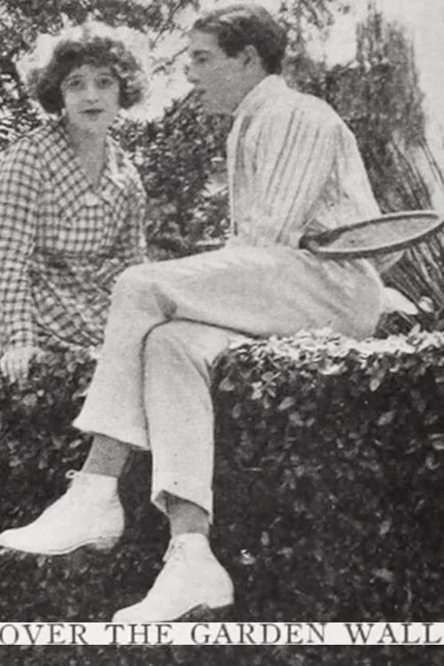 در بالای دیوار باغ