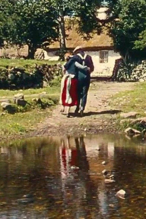 موده ارا