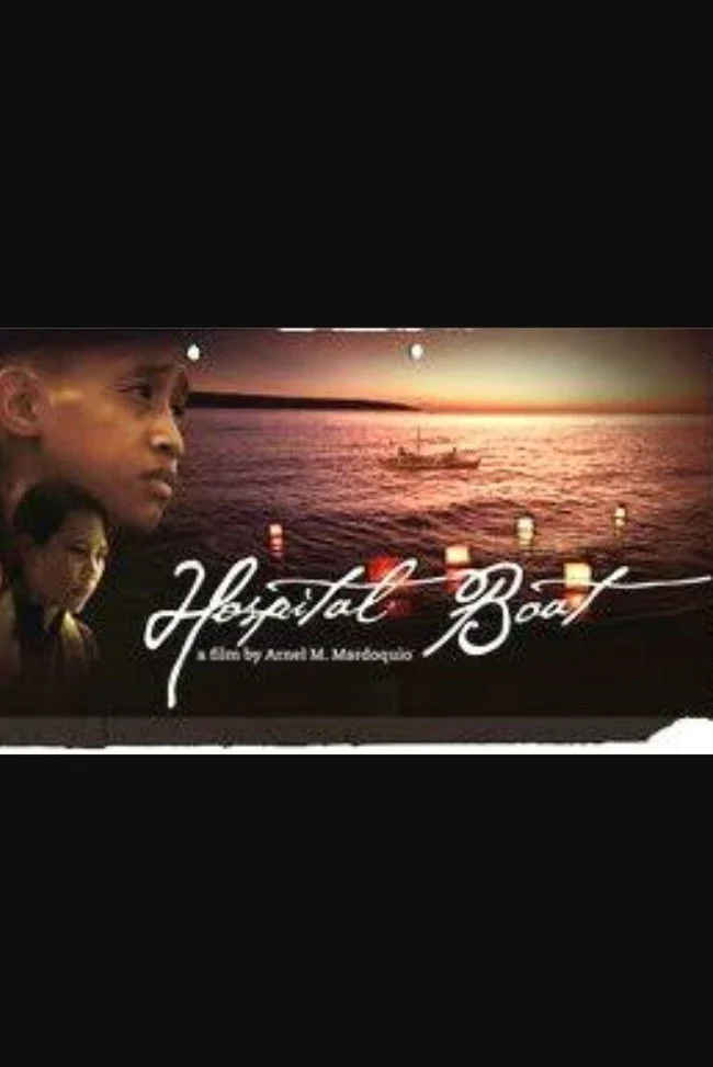 سفینهٔ بیمارستانی