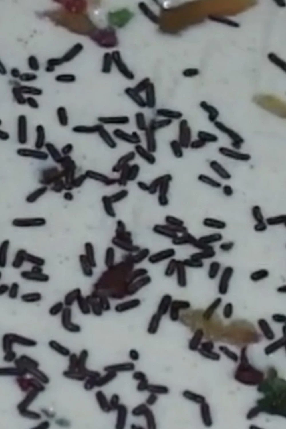 تقاطع کِیلاندايا