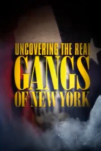 Uncovering the Real Gangs of New York