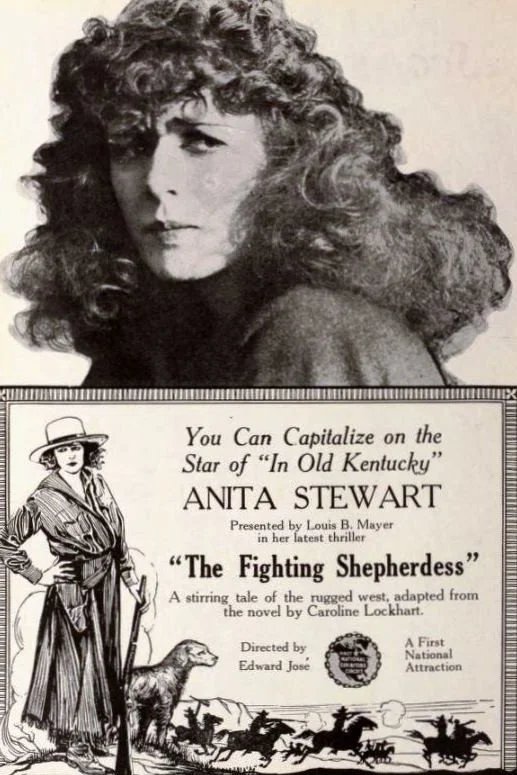 شیرزن مبارز