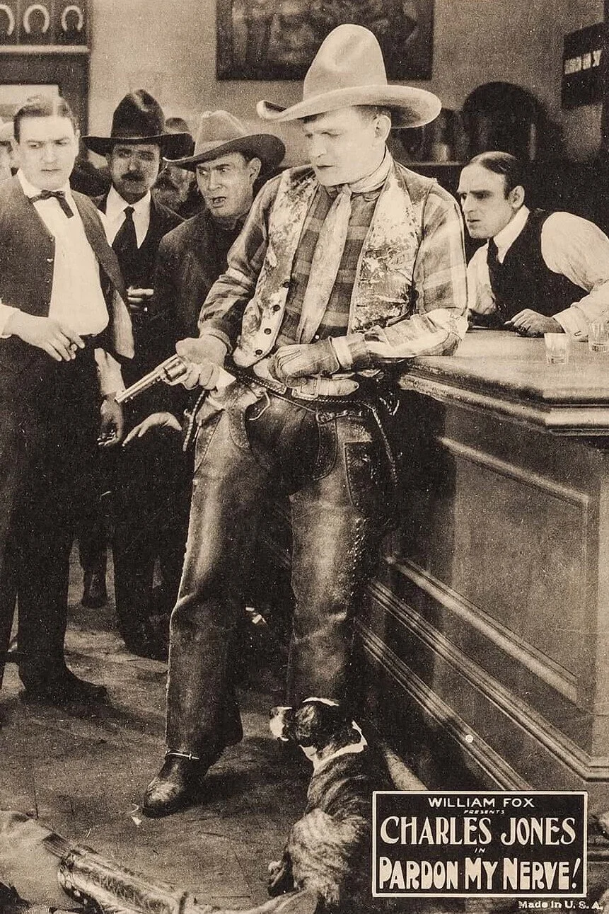 ببخشید که جرات کردم!