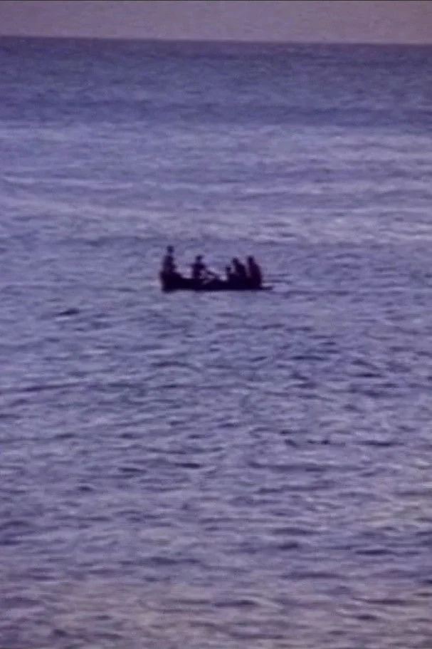 پرش کاریب ها