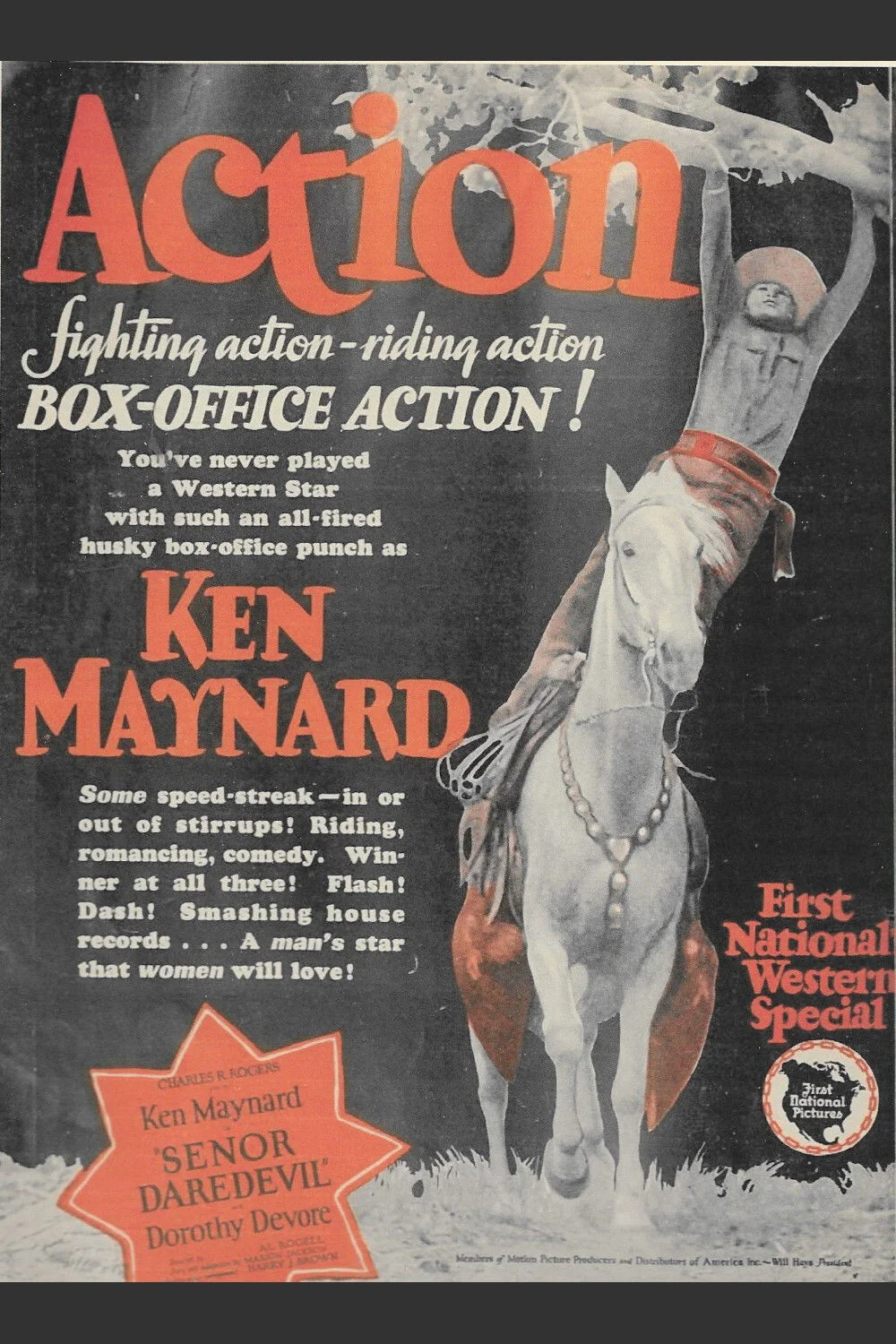 سنور دِرِوِل