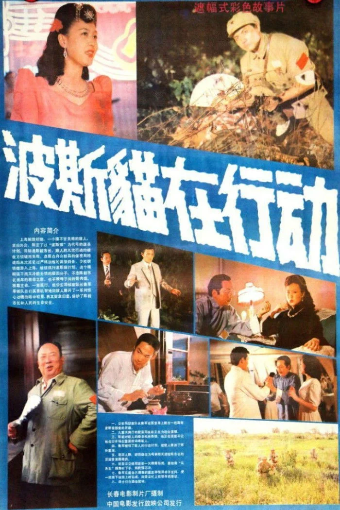 گربه ایرانی در عملیات