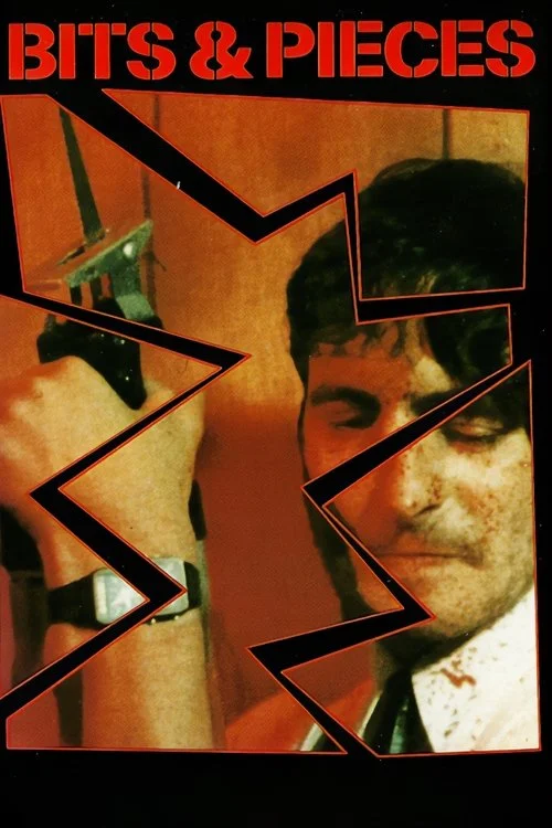 تکه ها و قطعات