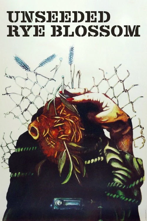 خشخاش کله گندمی بی‌بیخته نشده