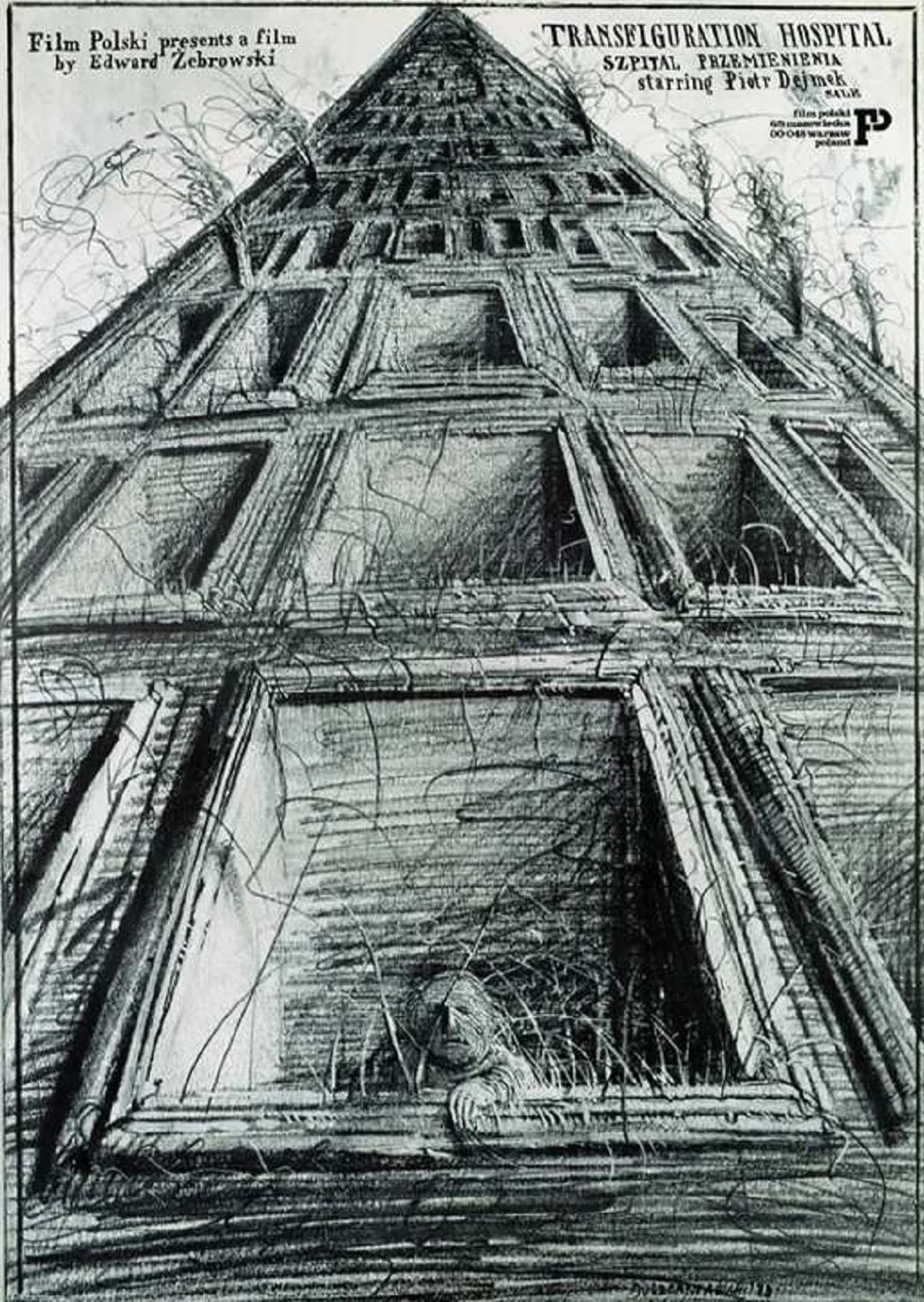 بیمارستان تجلی