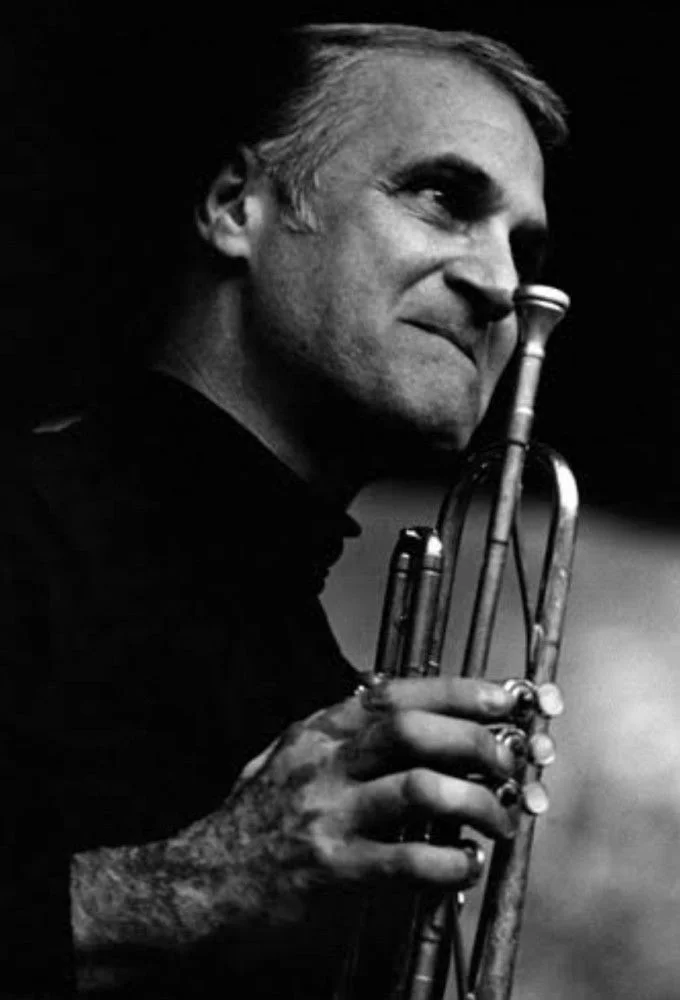 بازگشت به جنگل تارزانا