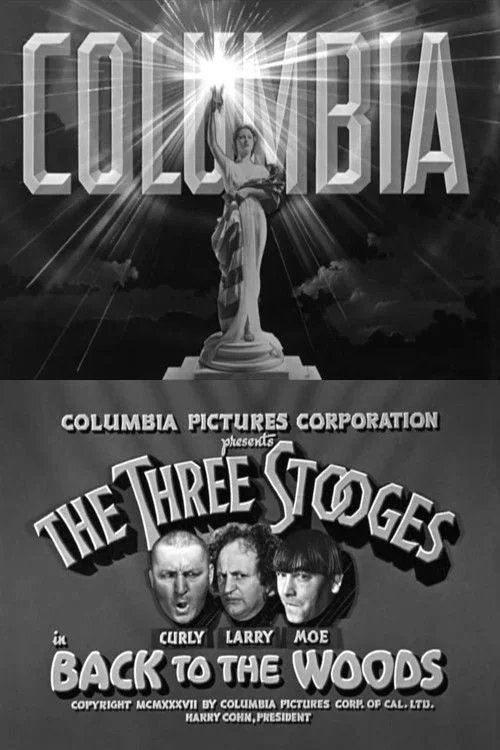 بازگشت به جنگل ها