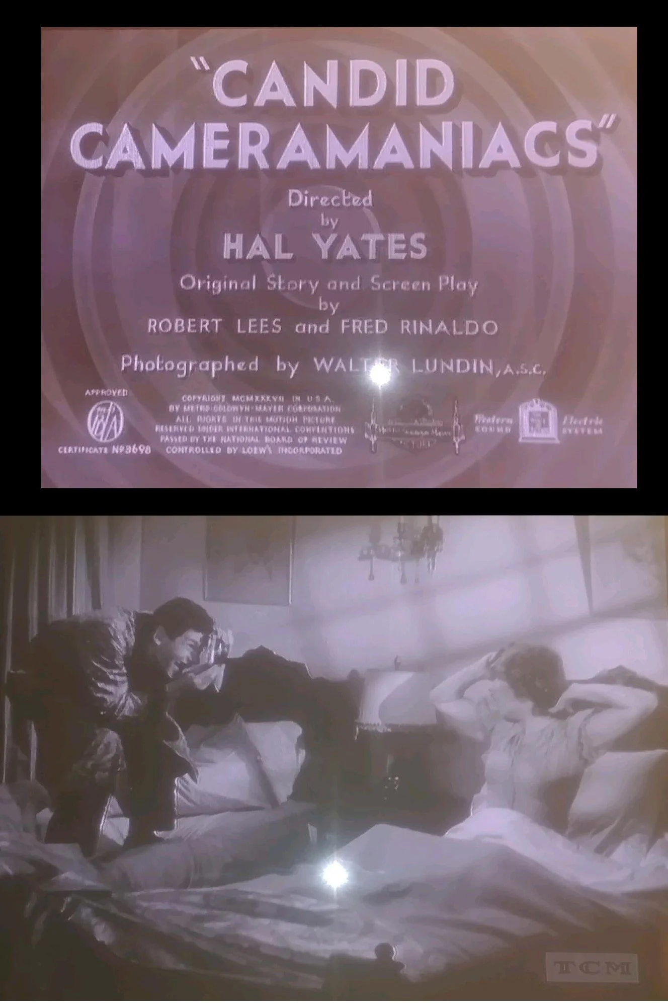 کمدی دوربین‌های کنجکاو