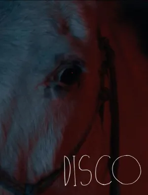 Disco - Poster