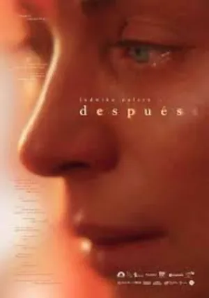 بعد از آن - Poster