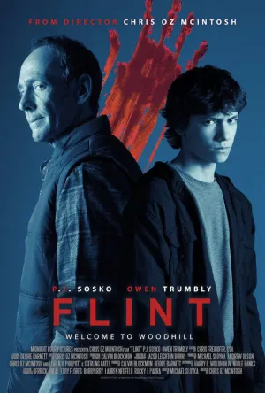 Flint - Poster