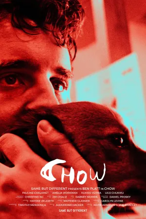 Chow - Poster