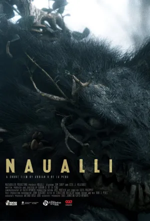 ناوالی - Poster